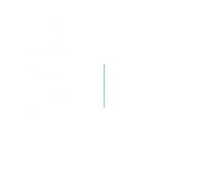 STARWAX 1540 Balais, Voir descriptif, Taille Unique