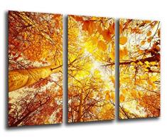 Tableau Moderne Photographique, Impression sur bois, ForÃªt dautomne, paysage Nature, coucher de soleil, 97 x 62 cm, ref. 26041