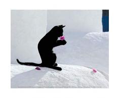 Affiche 24x30 cm Chat et fleur / Cat and Flower / Katze und Blume Jean-Louis KLEIN, Marie-Luce HUBERT