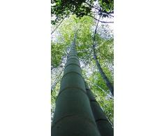 PeelitStickit id-3261Â 60Â Largeur x 130Â cm Hauteurâ¯: Belle Nature de Haute qualitÃ© en Vinyle Papier Peint Mural