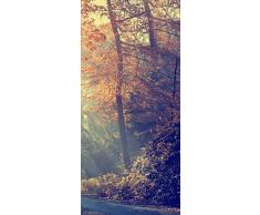 PeelitStickit ID-005Â 60Â Largeur x Hauteurâ¯: 130Â cm Automne Parc Nature Toile Murale Motif Papier Peint en Vinyle de Haute qualitÃ©