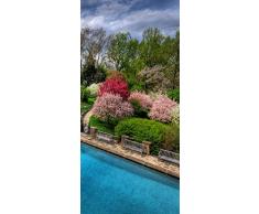 PeelitStickit id-1768Â 60Â Largeur x 130Â cm Hauteurâ¯: Belle Nature de Haute qualitÃ© en Vinyle Papier Peint Mural