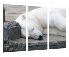 Tableau Moderne Photographique, Impression sur bois, Ours polaire animal allongÃ© blanc, vie sauvage, 97 x 62 cm, ref. 26776