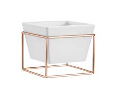 AmazonBasics Jardinière de table, carrée - Blanc/Cuivre