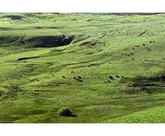 Papier Peint poster panoramique PATURAGES 4 x 2,70 m | DÃ©co et photo murale XXL QualitÃ© HD Scenolia