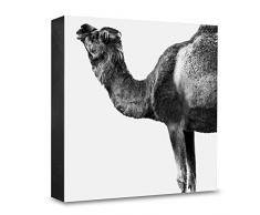 designersgroup HG-FO128 Bloc de Papier Photo en Bois pour photophores et Animaux, 15 x 15 cm