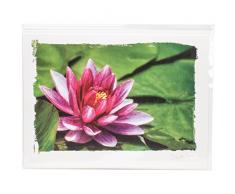 Papier Maison Artist Series Photo Carte avec enveloppe Parmi Les Lily Pads, Acrylique, Multicolore, 2 pièces