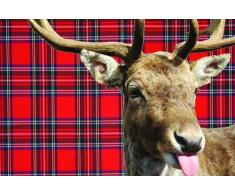 Digital Republic.com 40015 Paillasson Polyamide-PVC sans Phtalate