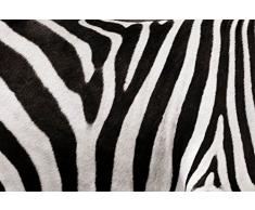 Papier Peint déco poster OUT OF AFRICA 3 x 2,70 m | Déco et photo murale XXL Qualité HD Scenolia