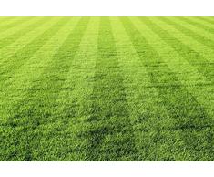 Papier Peint dÃ©co poster SUR LA PELOUSE 3 x 2,70 m | DÃ©co et photo murale XXL QualitÃ© HD Scenolia