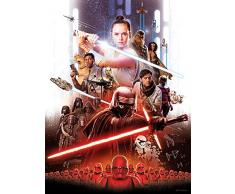 Komar WB175-30x40 Tableau Mural, Star Wars Affiche du Film Rey, 30cm x 40cm