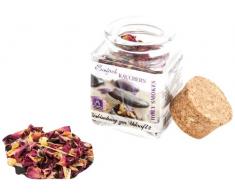 Berk HS - 819 encens Connexion à Primal Power II