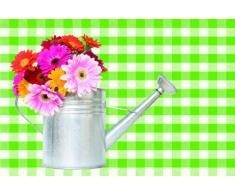 Achoka 40564 Paillasson Polyamide-PVC sans Phtalate