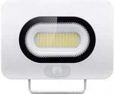 Goobay Projecteur extÃ©rieur LED, argentÃ©, 50 Watt