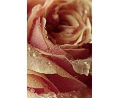 Scenolia Tableau Verre Acrylique Invitation 60 x 90 cm | DÃ©coration Murale Design Fait en France