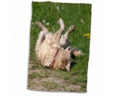 3dRose Golden Retriever Drap de lit, Blanc, 15Â x 55,9Â cm