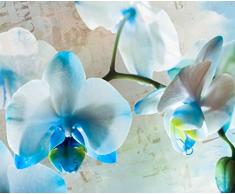 AG Design Odeur fTNxxl1144 Papier Peint Photo Murale Motif Fleurs