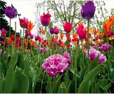 AG Design 4 Papier Peint IntissÃ©, Multicolore, 360 x 270 cm