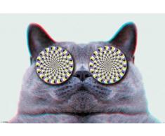 Empire Poster avec Accessoires Motif Chat hypnotiseur