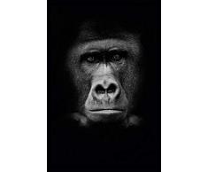 Scenolia Tableau Verre Acrylique Gorille 60 x 90 cm | Décoration Murale Design Fait en France
