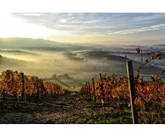 Papier Peint poster panoramique VIGNE DAUTOMNE 4 x 2,70 m | DÃ©co et photo murale XXL QualitÃ© HD Scenolia