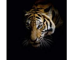 Scenolia Tableau Verre Acrylique Eyes of A Tiger 60 x 60 cm | Décoration Murale Design Fait en France