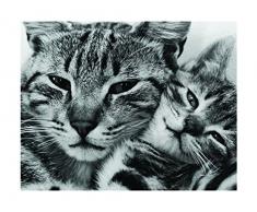 Affiche 40x50 cm Chat et chaton / Poppa Puss / Katze und KÃ¤tzchen David Mc ENERY