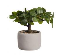 ASA Plante Artificielle en Plastique Vert 24,5 cm