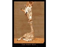 Empire Poster Girafe 3D 3DFirst Kiss + Accessoires