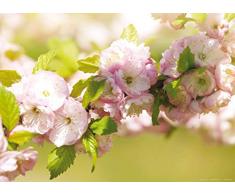 AG Design 1 Papier Peint IntissÃ©, Multicolore, 160 x 110 cm