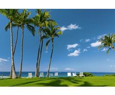 Papier Peint poster panoramique Ã LOMBRE DES PALMIERS 4 x 2,70 m | DÃ©co et photo murale XXL QualitÃ© HD Scenolia