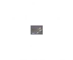 Abert 3157602Â Lot de 12Â Fourchettes Inox AmÃ©rique ameublement Table