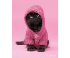 PopArtUK Wildside Mini Poster en Forme de Chat dans Une Capuche 40,6 x 50,8 cm