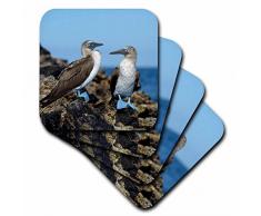 3dRose CST_207624_1 Dessous de Verre, Mutli-Colour, set-of-4-Soft