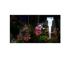 Galix 2217 Lanterne Solaire, Plastique, Transparent