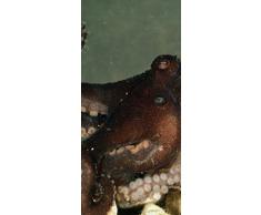 PeelitStickit id-143Â 60Â Largeur x Hauteurâ¯: 130Â cm Eau de Haute qualitÃ© Papier Peint Mural en Vinyle