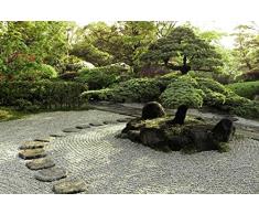 Scenolia Tableau Verre Acrylique déco & Design CHANIWA 70 x 50 cm | Déco Murale Qualité HD