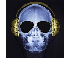 Scenolia Tableau Verre Acrylique X Ray 60 x 60 cm | DÃ©coration Murale Design Fait en France