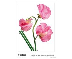 AG f 0402 autkleber Mural Design Autocollants en Forme de Fleurs