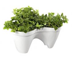 Keter Ivy Planter Pot de fleurs