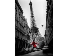 Empire Merchandising GmbH Fackelmann 42410 Passoire à Poser en Acier Inoxydable 7,5 cm