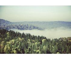 Papier Peint poster panoramique FORET CANADIENNE 4 x 2,70 m | DÃ©co et photo murale XXL QualitÃ© HD Scenolia