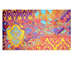 LifeStyle-Mat Paillasson pour Porte dentrée intérieur extérieur Tapis Antidérapants Lavable