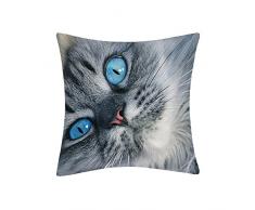 Douceur de France Coussin Imprimé Chat aux Yeux Bleus, Polyester, Multicolore, 40x40x15 cm