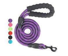 Vineco PoignÃ©e RembourrÃ©e Douce, Fils TrÃ¨s RÃ©flÃ©chissants, Sacs Ã DÃ©chets et Distributeur, 1,5 m Corde Laisse pour Tous Les Chiens de Taille, Pourpre
