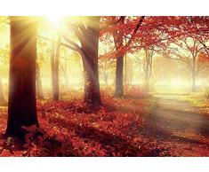 Papier Peint poster panoramique SOLEIL DAUTOMNE 4 x 2,70 m | DÃ©co et photo murale XXL QualitÃ© HD Scenolia