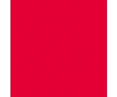 Oreillers et matelas de santé Elsa - Housse de rechange de Voyage 33/11 cm rouge