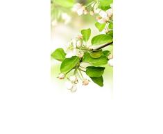 PeelitStickit id-226 60 Largeur x 130 cm Hauteurâ¯: Belle Nature de Haute qualité en Vinyle Papier Peint Mural