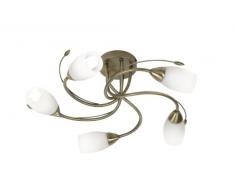 Oaks Lighting Tawa Plafonnier 5 lumières avec abat-jours en verre opale