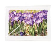 Papier Maison Artist Series Photo Carte avec enveloppe Crocus Gathering, Acrylique, Multicolore, 2 pièces